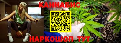 прущие грибы Севастополь