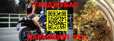 прущие грибы Севастополь